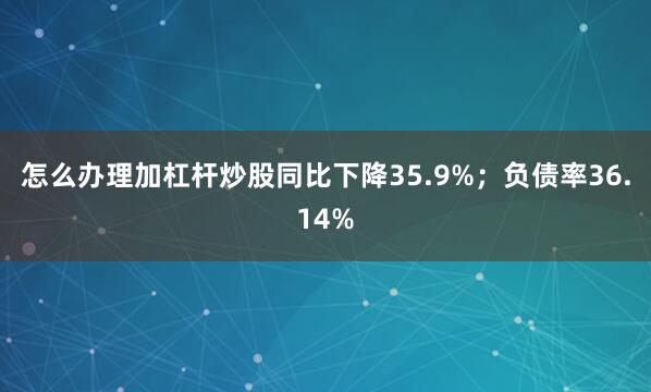 怎么办理加杠杆炒股同比下降35.9%；负债率36.14%