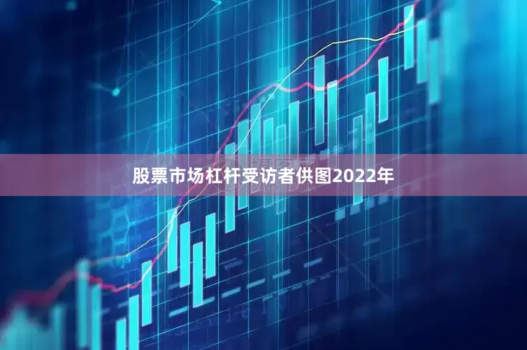 股票市场杠杆受访者供图2022年