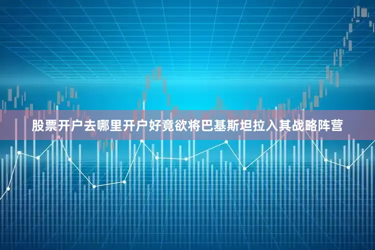 股票开户去哪里开户好竟欲将巴基斯坦拉入其战略阵营